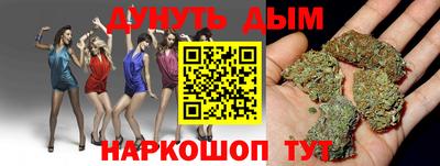 сатива Краснодар