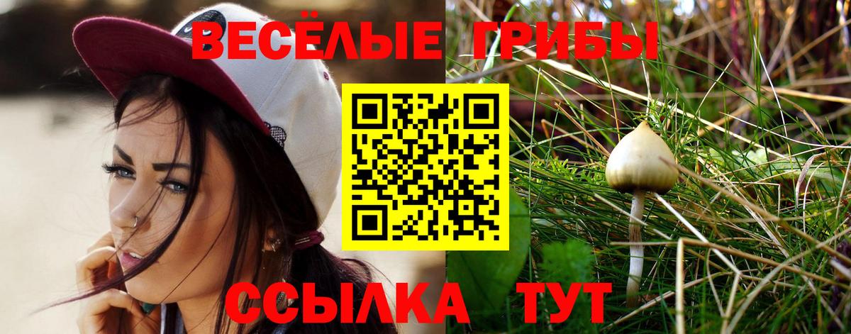 Псилоцибиновые грибы Psilocybe  Вход с VPN  Кирово-Чепецк 